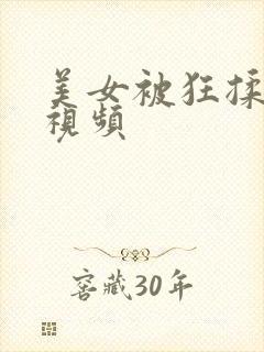 美女被狂揉下部视频