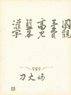 灌篮高手国语版字幕免费观看