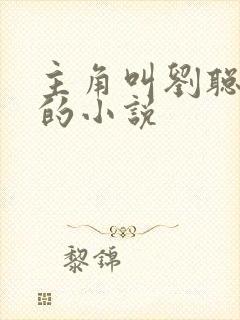 主角叫刘聪赵兰的小说封面