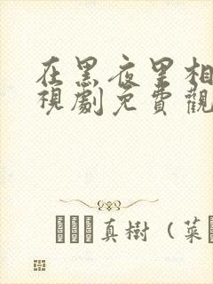 在黑夜里相拥电视剧免费观看