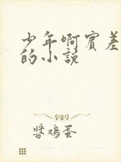 少年啊宾差不多的小说