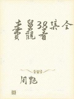 老舅38集全免费观看