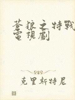 苍狼之特战突击电视剧