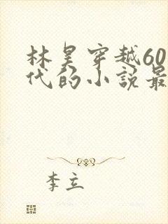 林昊穿越60年代的小说最新章节