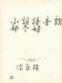 小说语音朗读器哪个好