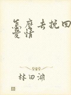 怎么去挽回一段爱情