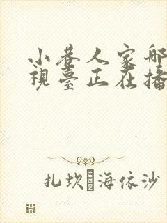 小巷人家哪个电视台正在播放