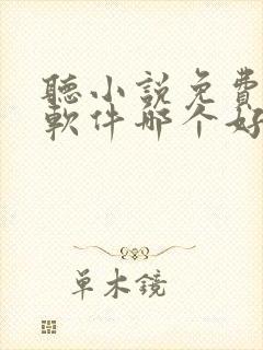 听小说免费听书软件哪个好