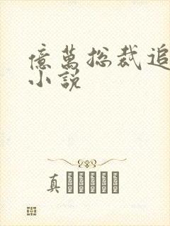 亿万总裁追妻忙小说