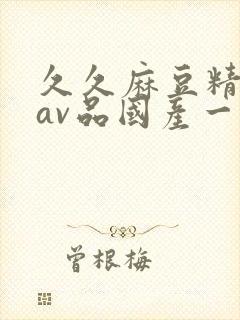 久久麻豆精亚洲av品国产一区