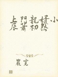 上门龙婿小说叶辰萧初然