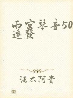 雨宫琴音500连发