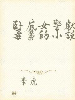 卧底女警献身大毒枭的小说