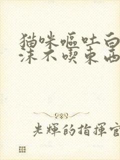 猫咪呕吐白色泡沫不吃东西