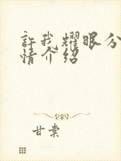 许我耀眼分集剧情介绍