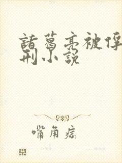 诸葛亮被俘虏受刑小说