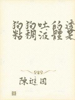 狗狗吐的透明色粘稠液体是什么原因封面