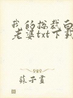 我的总裁白富美老婆txt下载