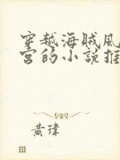 穿越海贼风流后宫的小说推荐