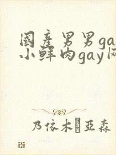 国产男男gay小鲜肉gay网站亚洲