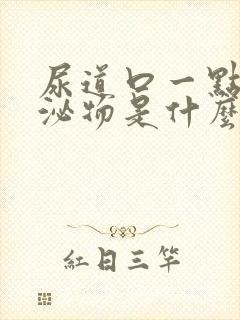 尿道口一点点分泌物是什么