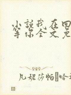 小说我在回忆里等你全文免费阅读封面