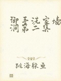 御手洗家墙壁破洞第二集