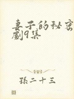 妻子的秘密电视剧9集