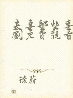 夫妻那些事电视剧免费观看全集