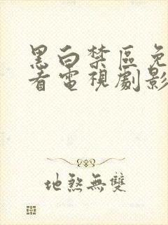 黑白禁区免费观看电视剧影视大全