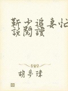 靳少追妻忙 小说阅读封面