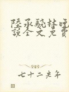 陆承骁林晚星小说全文免费阅读最新封面