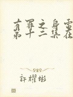 有罪之身电视剧第十二集在线观看