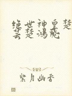 绝世神皇楚风楚芸楚鸿飞