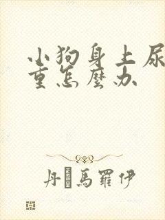 小狗身上尿骚味重怎么办