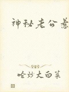 神秘老公惹不起封面