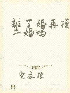 离了婚再复婚算二婚吗