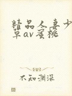 精品人妻少妇嫩草av蜜桃