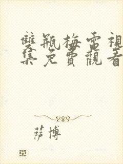 双瓶梅电视剧全集免费观看完整版