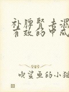 补脾肾去湿气最有效的中成药