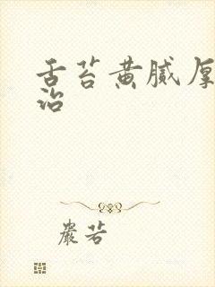 舌苔黄腻厚怎么治