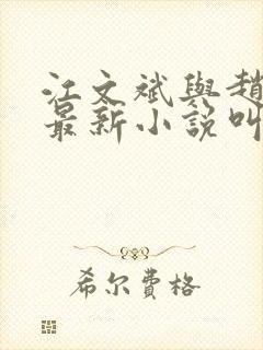 江文斌与赵颖的最新小说叫什么