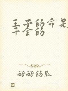 王子的命是恶役千金的