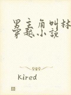 男主角叫林峰的穿越小说