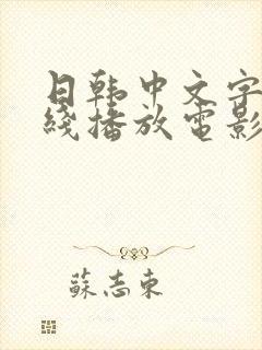 日韩中文字幕在线播放电影