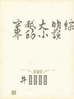 穿越大明综武世界的小说