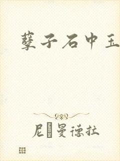 孽子石中玉