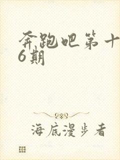 奔跑吧第十季第6期