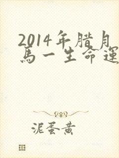 2014年腊月马一生命运如何