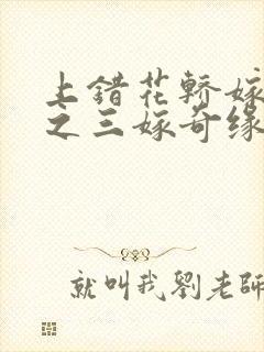 上错花轿嫁对郎之三嫁奇缘